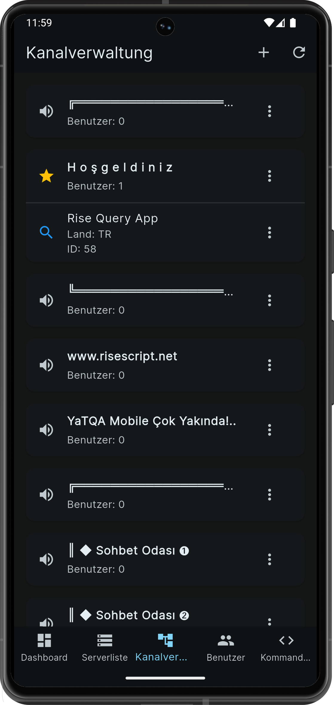 Rise Query App Benutzeroberfläche