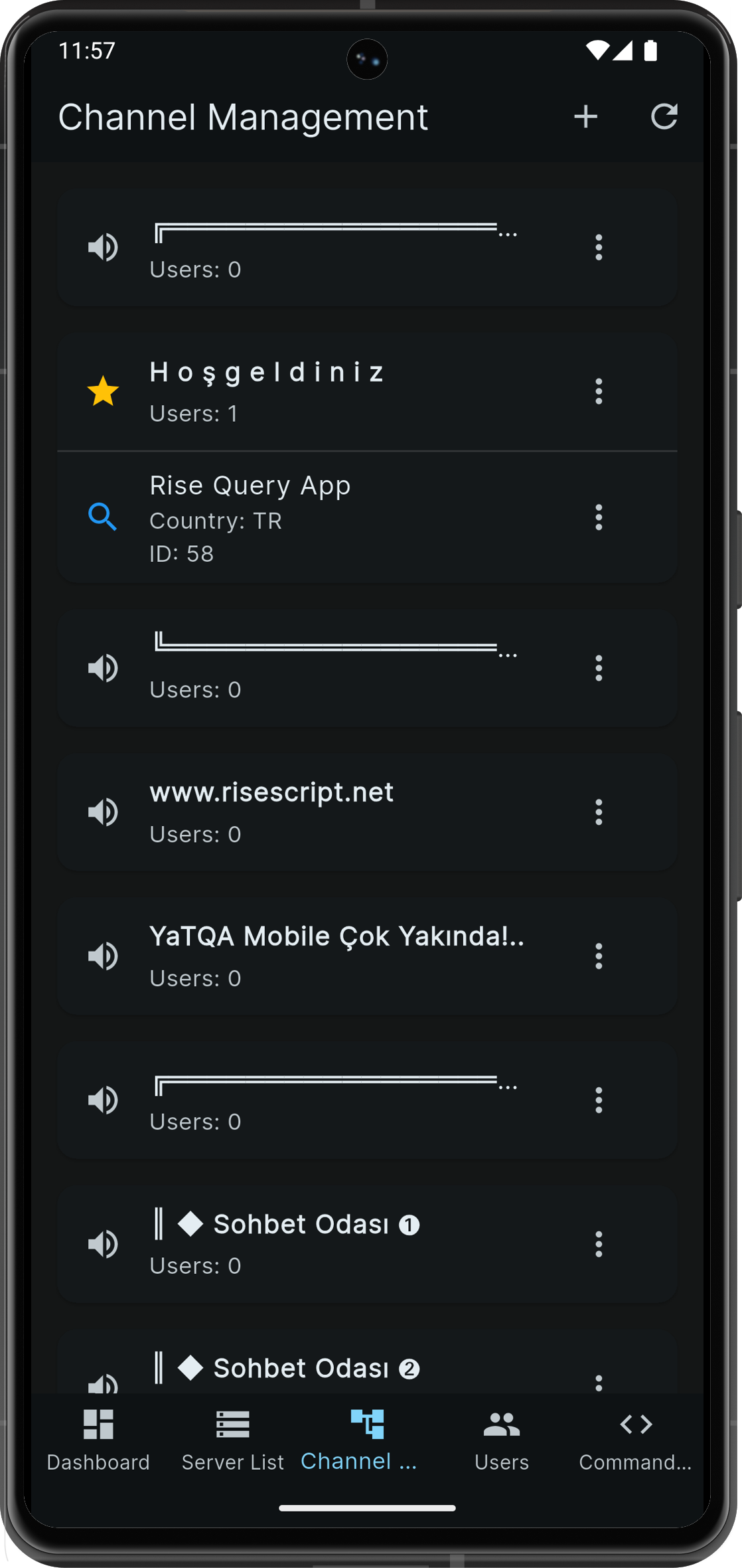 Rise Query App Interface